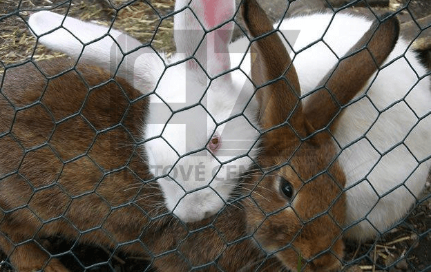 sieťky na králiky