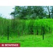 Pletivo DEKOLUX 400 mm | Zn+PVC | zelené | 150 × 90 | 10m