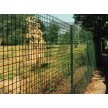 Zváraná plotová sieť FORTINET MEDIUM poplastovaná 1800 mm | zelená | oko 50 × 50 mm | drôt 2,95 mm