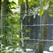 Zváraná plotová sieť PANTANET FAMILY poplastovaná 610 mm | zelená | oko 100 × 50 mm | drôt 2,5 mm